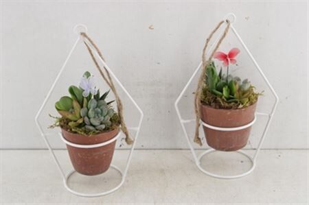 Arr3 Ad Planter Terravyn