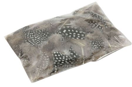 Feather Pearl Hen Loose 4g