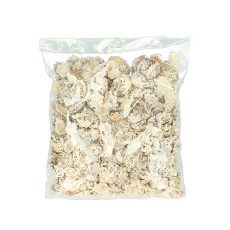 Halliotes Pulcherima 500g