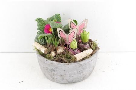 Arr6 Outdoor Vv - Beton Schaal Heavy