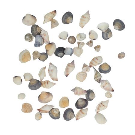 Shell mix 500g