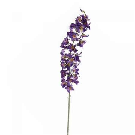 Delphinium 120cm
