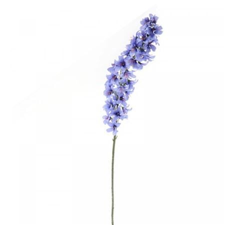 Delphinium 120cm