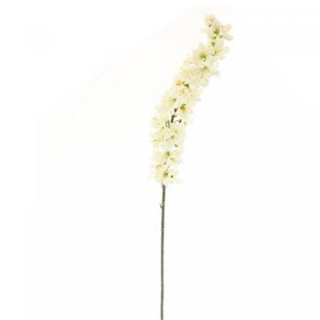 Delphinium 120cm
