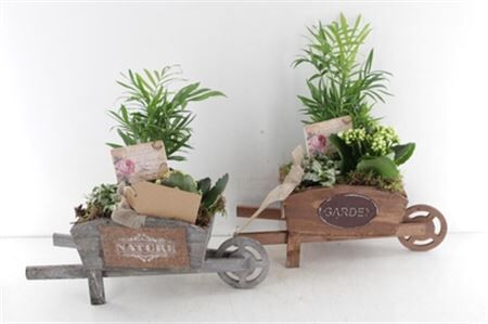 Arr2 Td Kruiwagen - Geel/wit