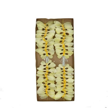 Schmetter./Dr.Fed. d09*5cm x48