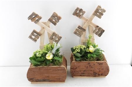 Arr2 Td Houten Molen - Geel/wit