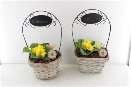 Arr6 Outdoor Pl - Mand Willkommen Mix