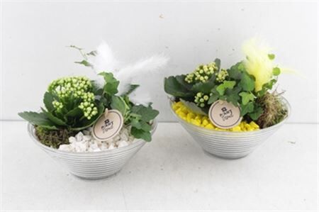 Arr2 Pl Glas Schaal Ribbel - Geel/wit