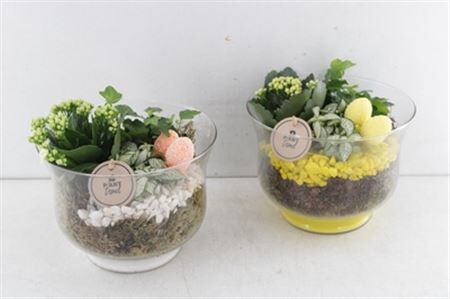 Arr2 Pl Bokaal Rio - Geel/wit