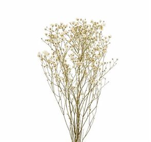 Dried Limon Diamond White Bunch