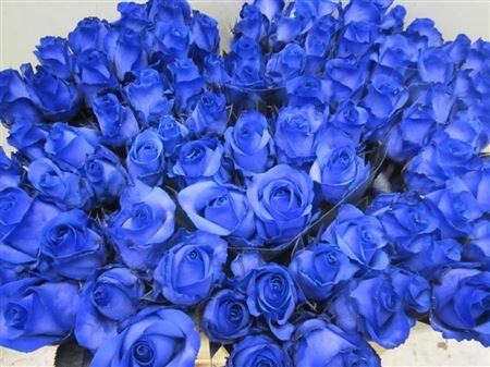 R Gr Countdown Blauw L70