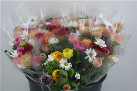 Boeket Primavera P Bunch