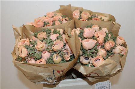 Anem Marianne Powder Orange