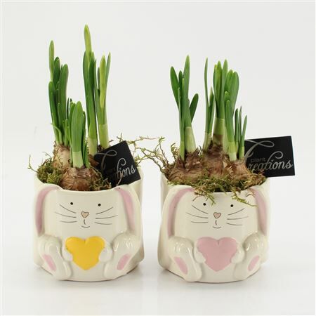 Arr Narcis Easter Keramiek