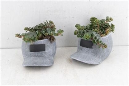 Arr3 Sn Ker. Cap Denim Sedum Tornado