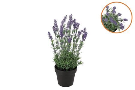 Silk Lavender Purple In Pot Black M 21x21x32cm