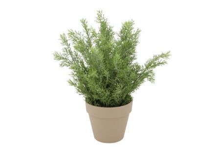 Silk Cypress Green In Pot Terra L 33x33x50cm Nm