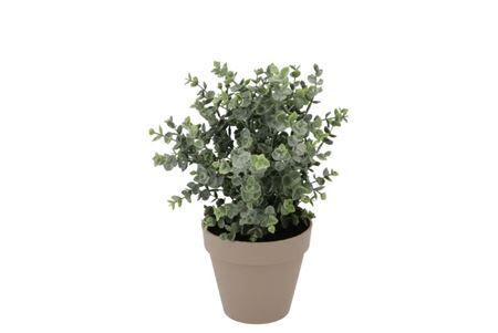 Silk Eucalyptus Green In Pot Terra M 25x25x28cm Nm