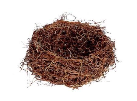 Basket Fern Root H10d25