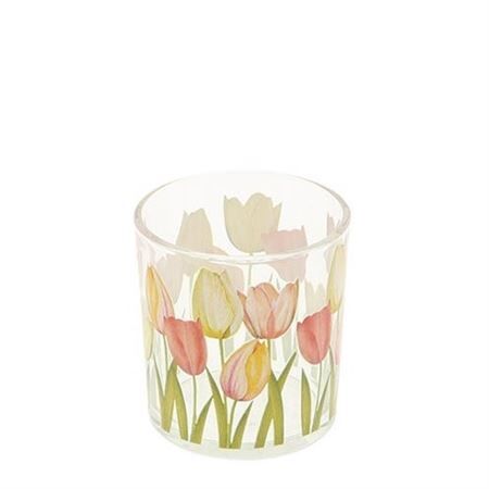 Tulip d07.5*8cm