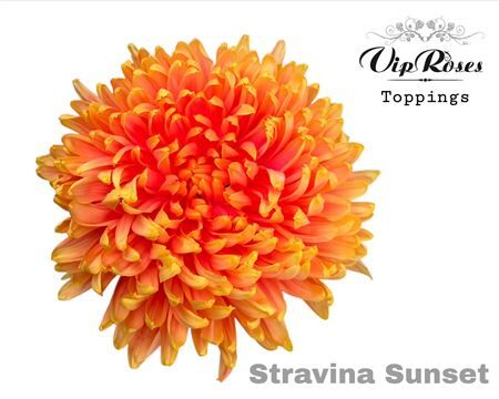 Chr G Stravina Sunset