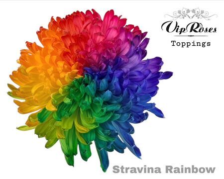 Chr G Stravina Rainbow