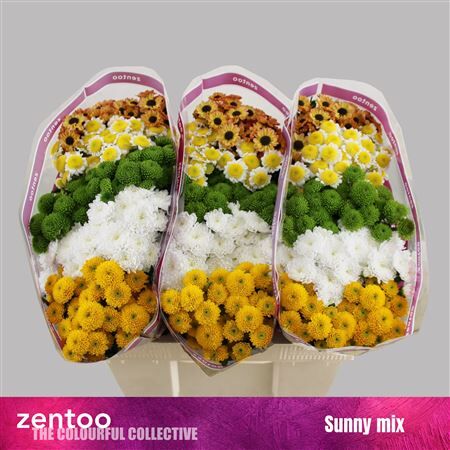 Chr S Mix Sunny