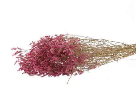 Bunch Limonium Diamond Slv L60