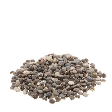 Umbonium 1kg