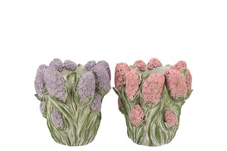 Dante Pink Lilac Pot Hyacinth Ass 22x22x19cm
