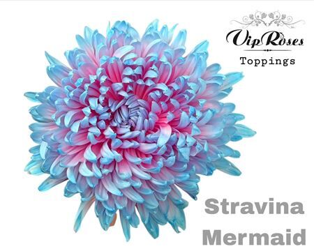 Chr G Stravina Mermaid