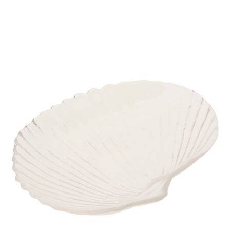 Glas schelp schaal 18*15*3.5cm