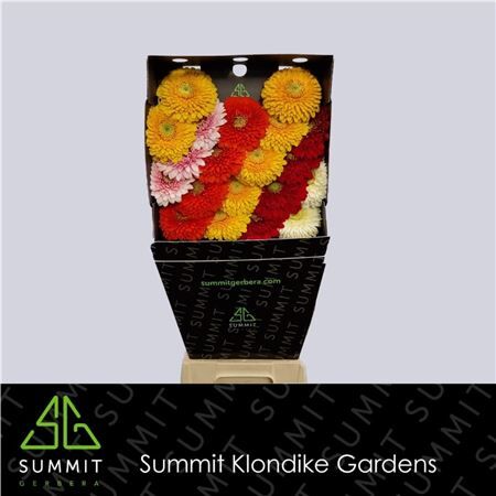 Ge Bv Mixed Bol Diamond