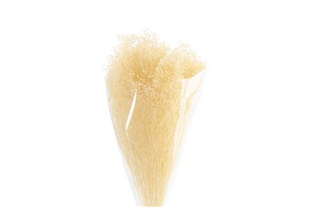 Dried Brooms Bleached Bunch