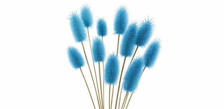 Dried Cardi Mini L Blue 12pcs Bunch