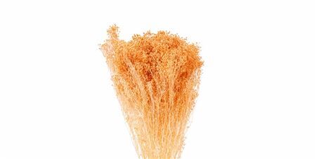 Dried Brooms Salmon Bunch