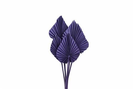 Dried Palm Spear 10pc Milka Bunch Slv
