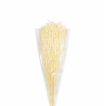 Dried Rice Grass Bleached Bunch