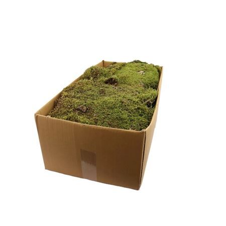 Moss 2kg