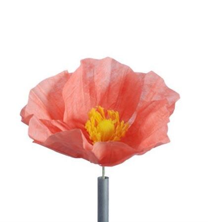 Stem Poppy Flower H35d30