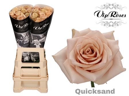 R Gr Vip Quicksand X20