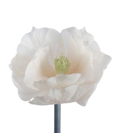 Stem Magnolia Bloom H35d30
