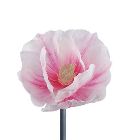 Stem Magnolia Bloom H35d30