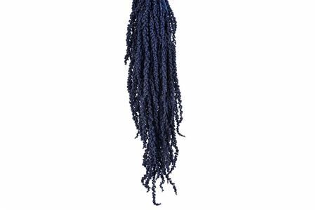 Pres Amaranthus Caud Antracite Bunch