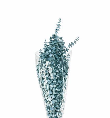 Pres Euca Baby Blue Metal Blue Bunch