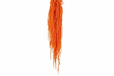 Pres Amaranthus Caud Salmon Bunch