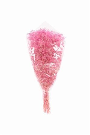 Pres Gyps Mini Pink Bunch