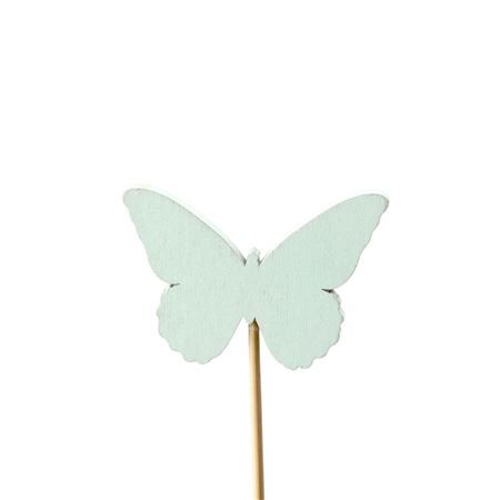 50cm Butterfly Ivy 6cm
