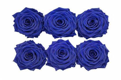 Ro Pres Classic Blue